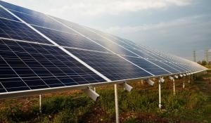 Image: solar panels in a field. Title: When Will Verizon Plug into Clean Energy?