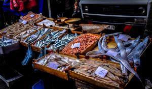 seafood