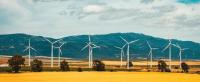 Wind farm