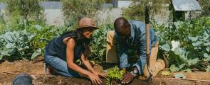 Climate Victory Gardens