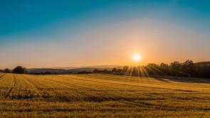 farm field 