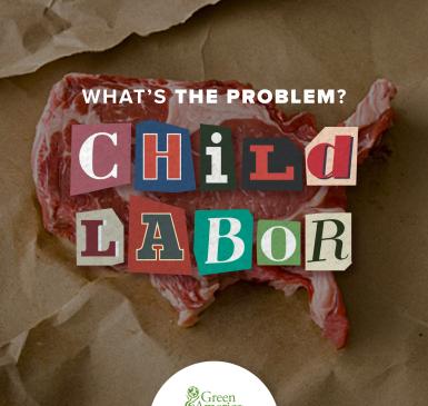 US Child Labor