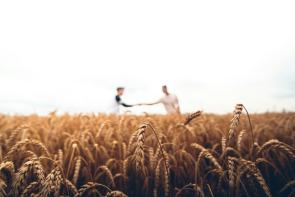 SCI Regenerative Agriculture
