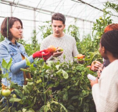 Young farmers