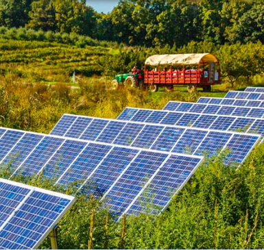 Solar farm 