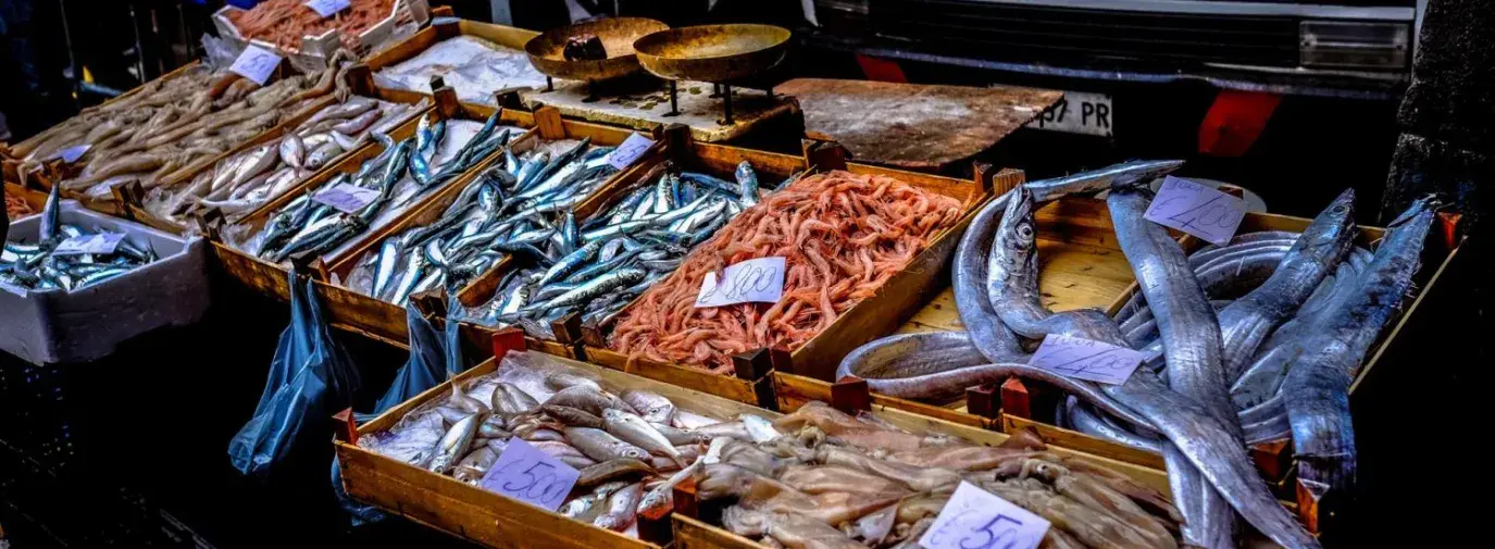 seafood