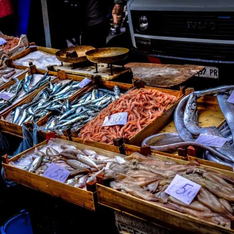seafood