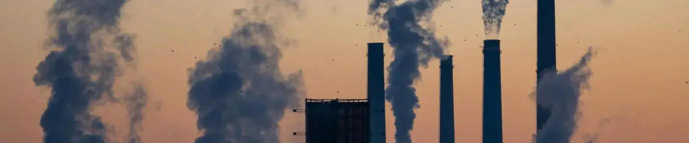 Don't Be A Fossil Fuel Fool