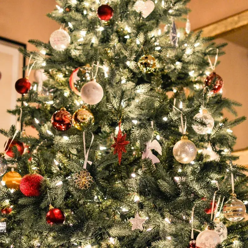 a natural Christmas tree that is glowing with white lights and silver, gold, and red ornaments. 