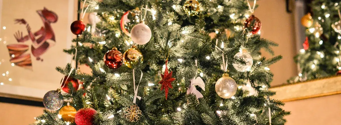 a natural Christmas tree that is glowing with white lights and silver, gold, and red ornaments.